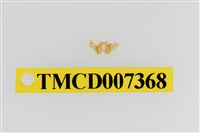 藏品(雙色澤蟹)的圖片